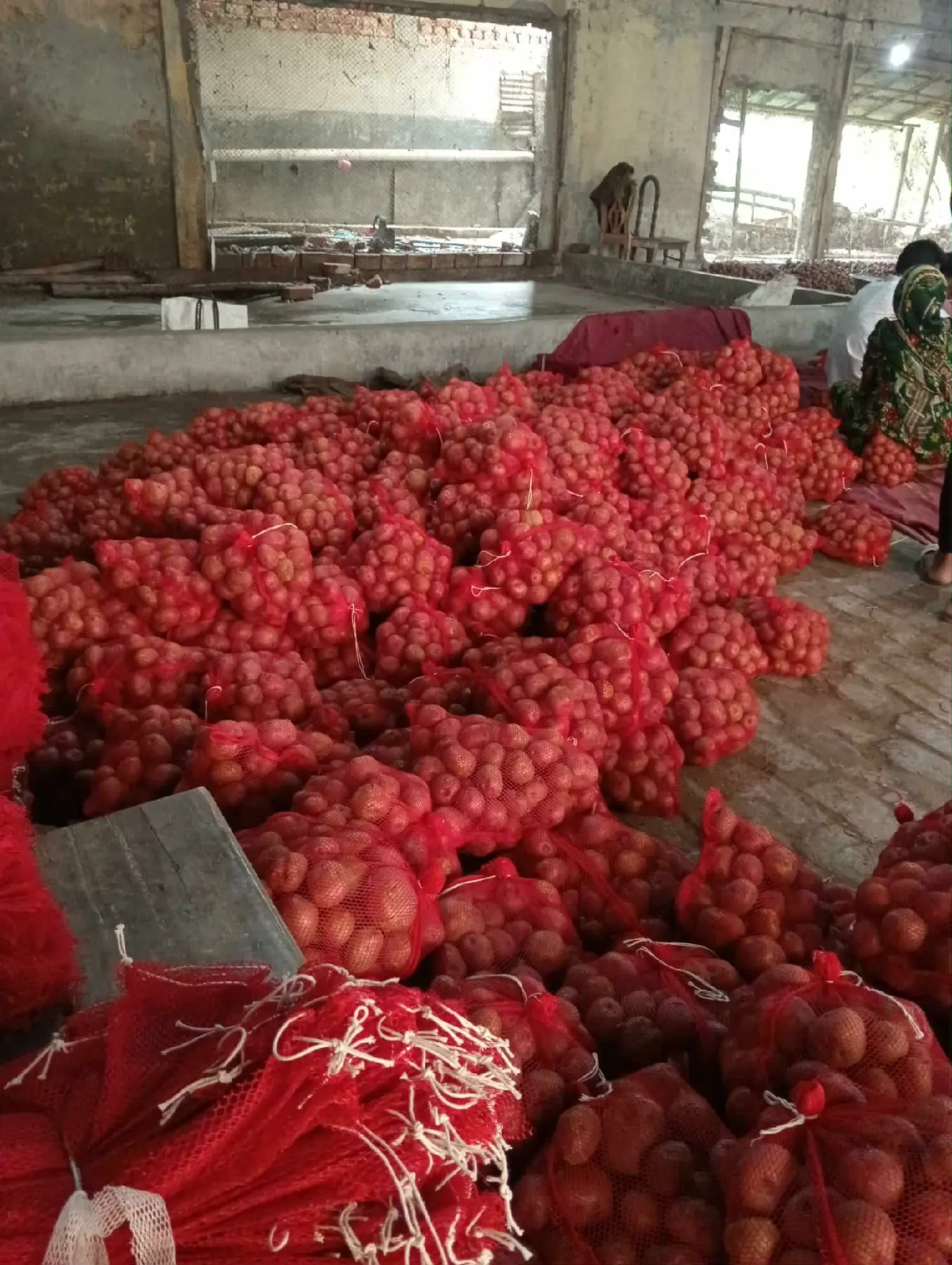 Processing bags of in Potatoes in Farmexbd warehouse.