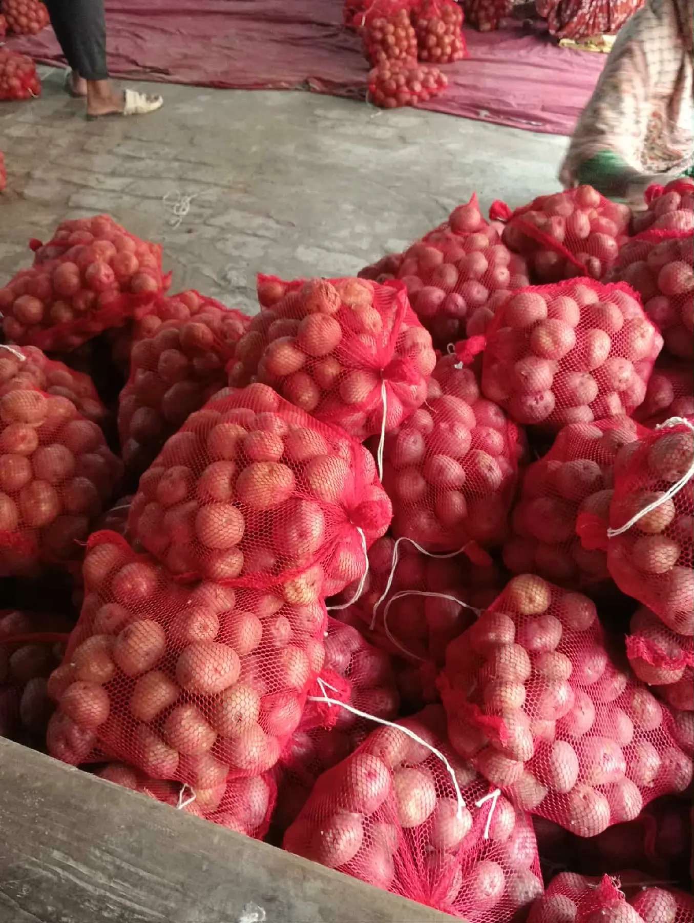 Processing bags of in Potatoes in Farmexbd warehouse.